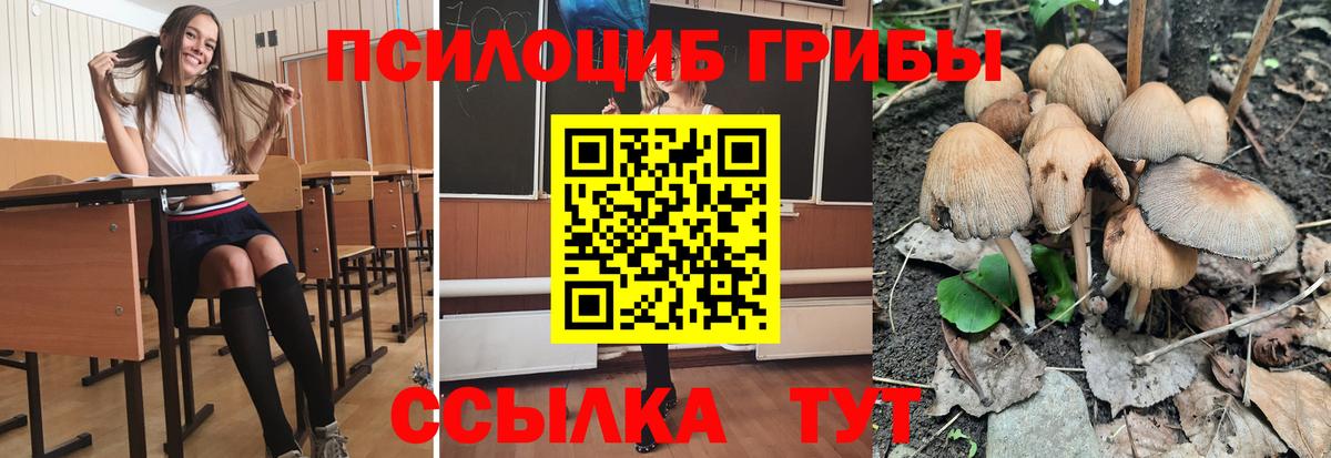 наркота  Галлюциногенные грибы Psilocybine cubensis  Вход с VPN  Воскресенск 